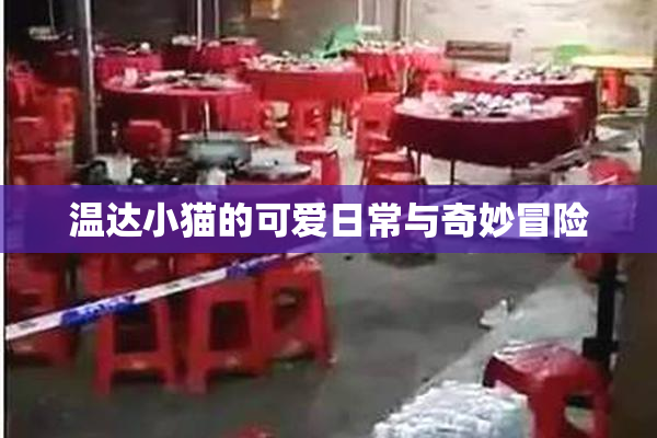 温达小猫的可爱日常与奇妙冒险