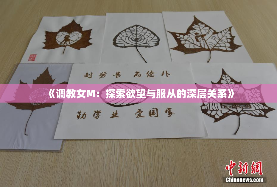 《调教女M：探索欲望与服从的深层关系》