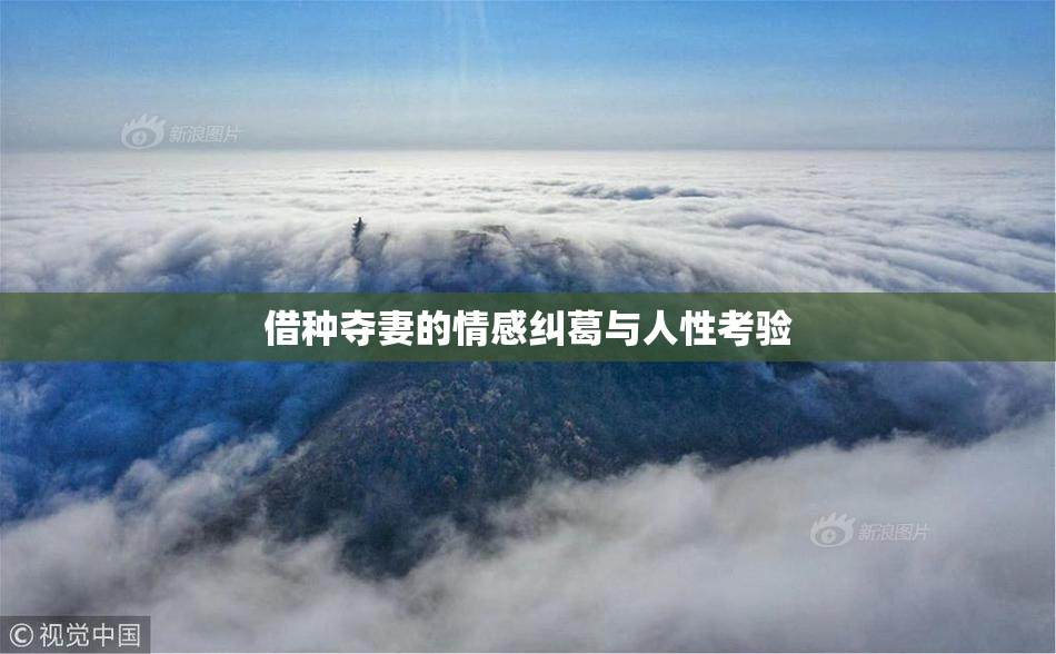 借种夺妻的情感纠葛与人性考验