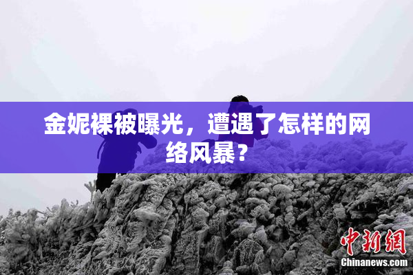 金妮裸被曝光，遭遇了怎样的网络风暴？