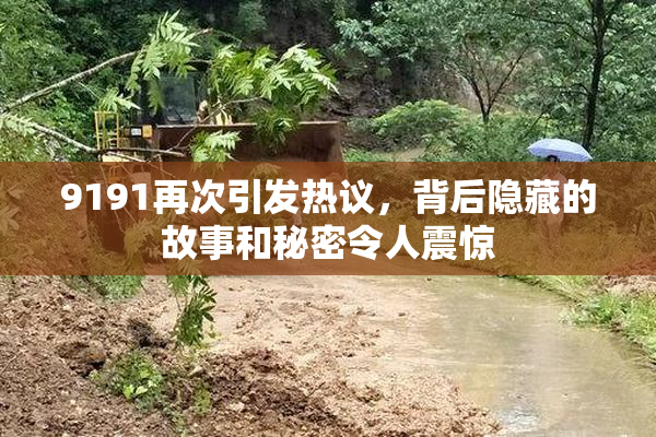 9191再次引发热议，背后隐藏的故事和秘密令人震惊