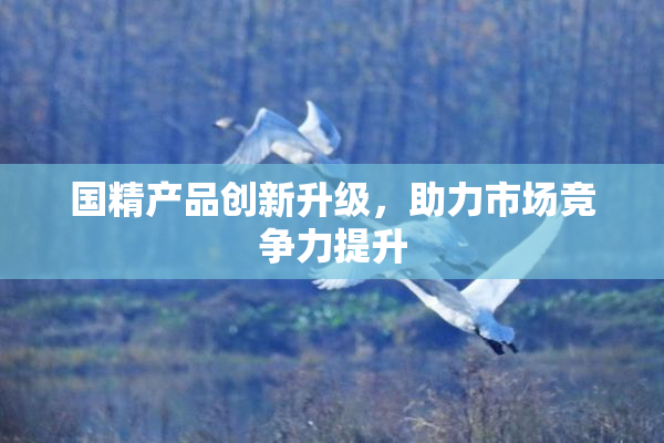 国精产品创新升级，助力市场竞争力提升