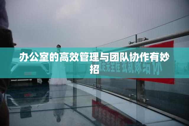办公室的高效管理与团队协作有妙招