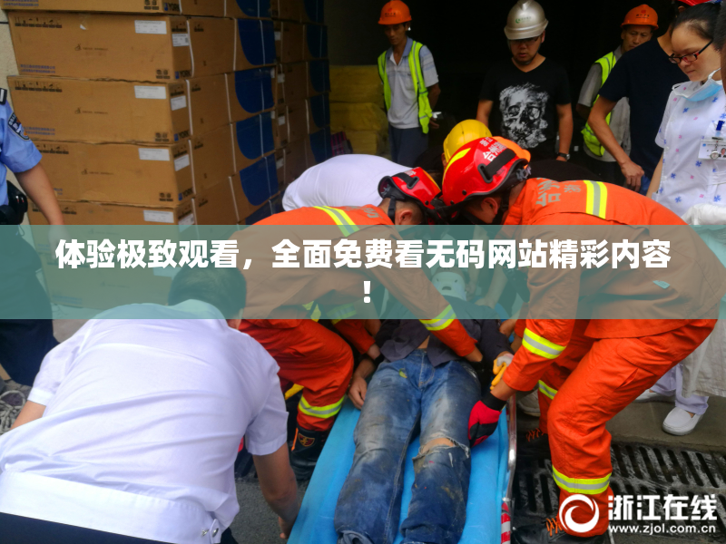 体验极致观看，全面免费看无码网站精彩内容！