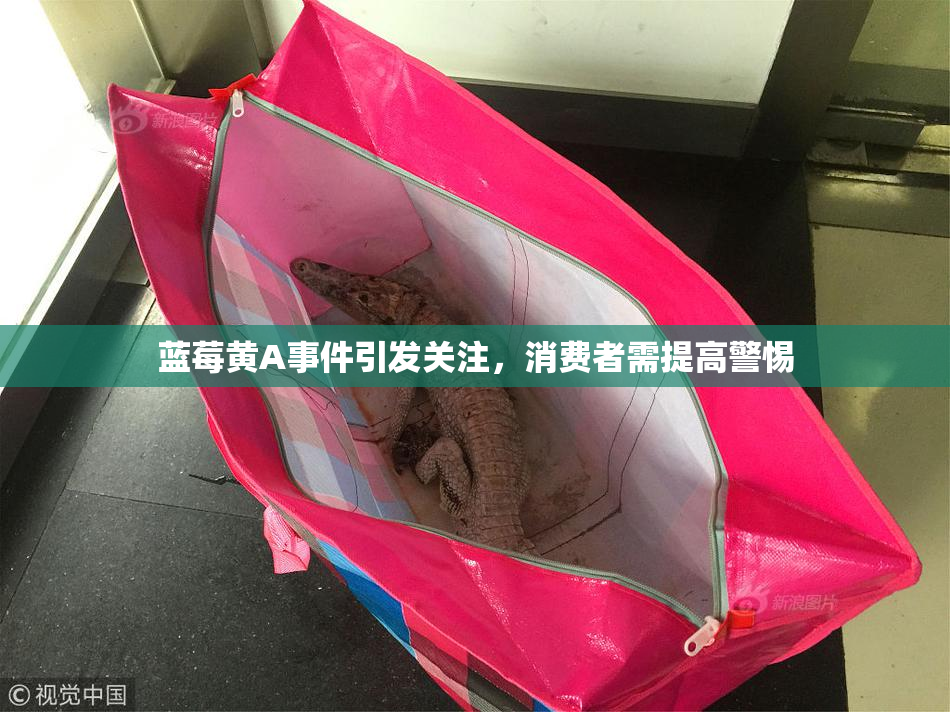 蓝莓黄A事件引发关注，消费者需提高警惕