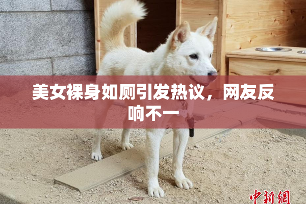 美女裸身如厕引发热议，网友反响不一