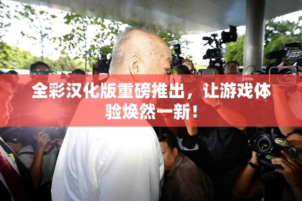 全彩汉化版重磅推出，让游戏体验焕然一新！