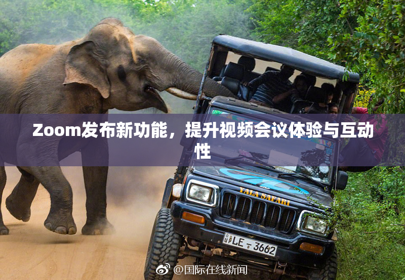 Zoom发布新功能，提升视频会议体验与互动性
