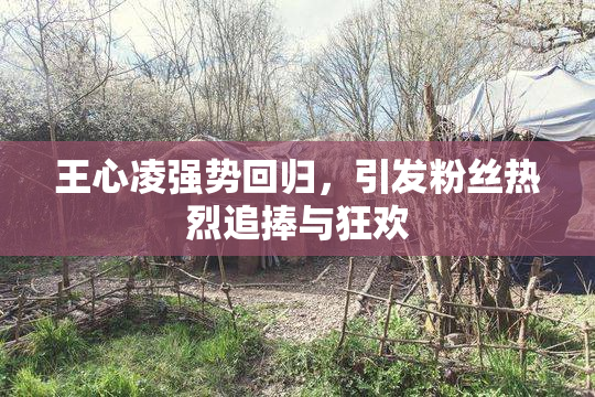 王心凌强势回归，引发粉丝热烈追捧与狂欢