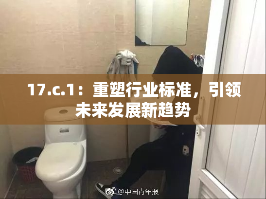 17.c.1：重塑行业标准，引领未来发展新趋势