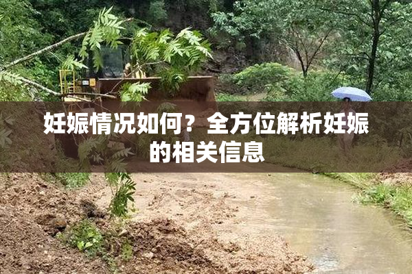 妊娠情况如何？全方位解析妊娠的相关信息