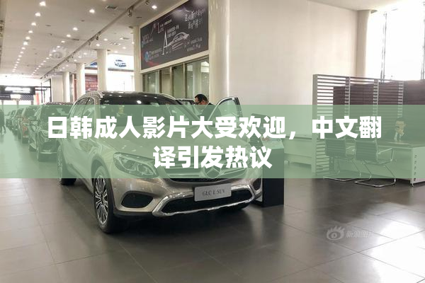 日韩成人影片大受欢迎，中文翻译引发热议