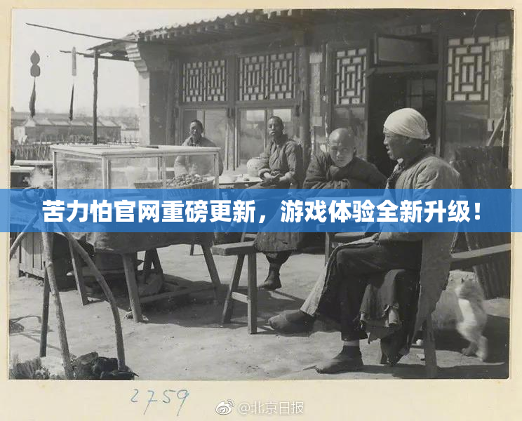 苦力怕官网重磅更新，游戏体验全新升级！