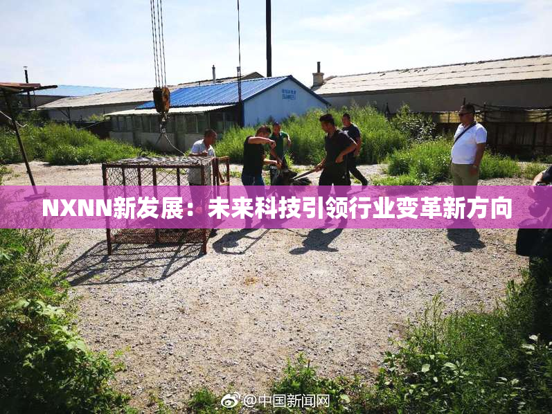 NXNN新发展：未来科技引领行业变革新方向
