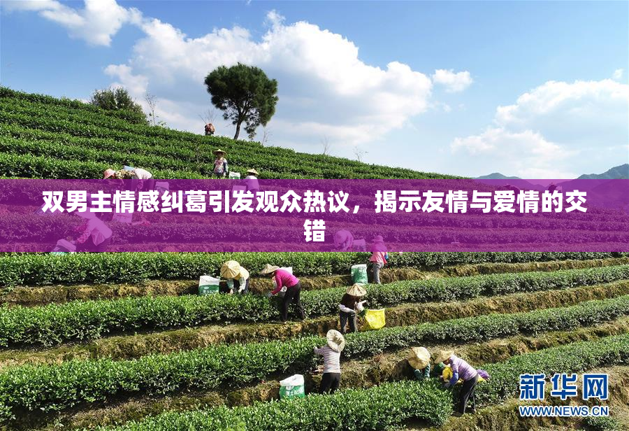 双男主情感纠葛引发观众热议，揭示友情与爱情的交错