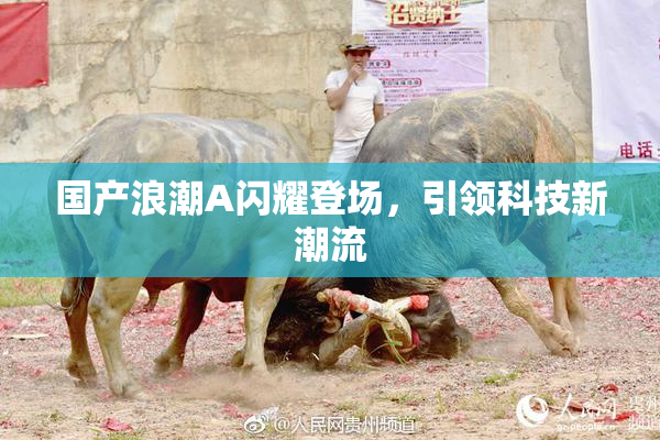 国产浪潮A闪耀登场，引领科技新潮流