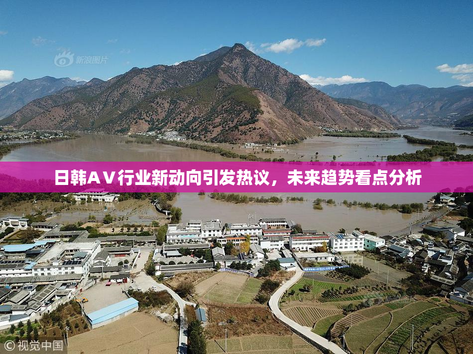日韩AⅤ行业新动向引发热议，未来趋势看点分析