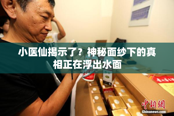 小医仙揭示了？神秘面纱下的真相正在浮出水面