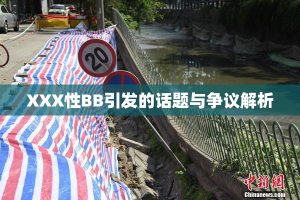 XXX性BB引发的话题与争议解析