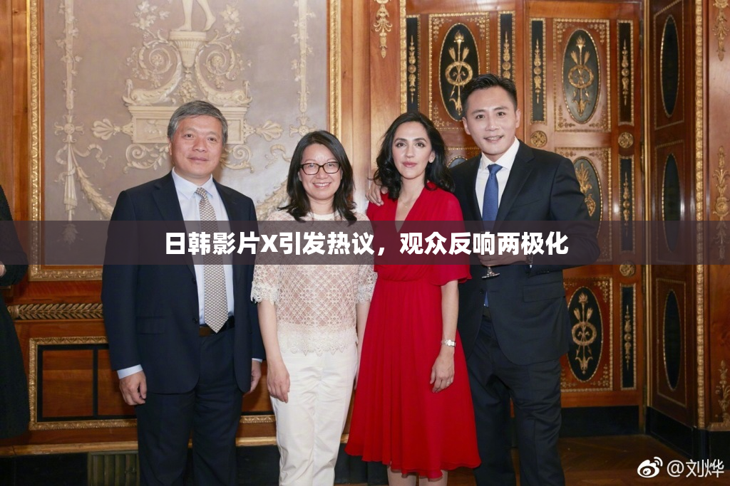 日韩影片X引发热议，观众反响两极化