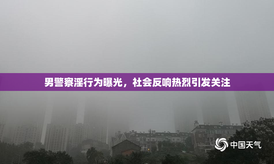 男警察淫行为曝光，社会反响热烈引发关注