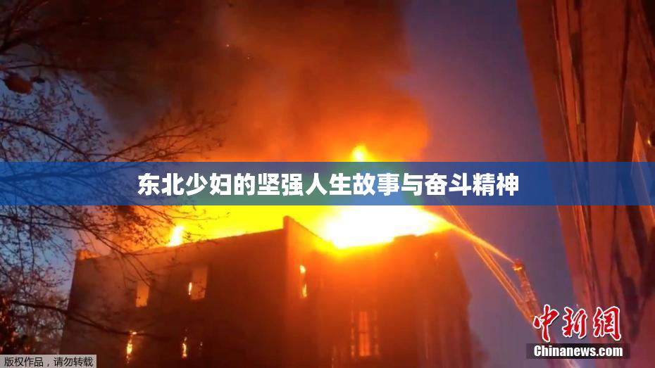 东北少妇的坚强人生故事与奋斗精神