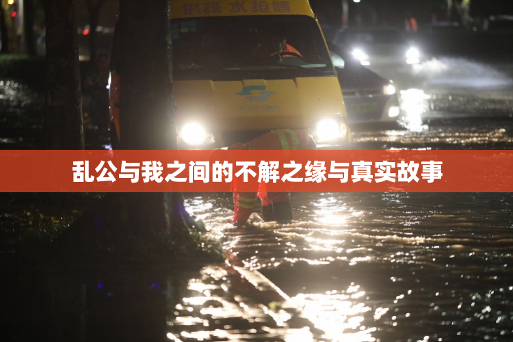 乱公与我之间的不解之缘与真实故事