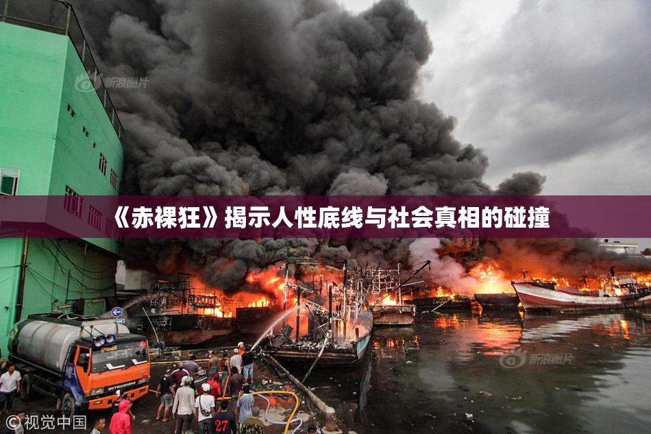 《赤裸狂》揭示人性底线与社会真相的碰撞