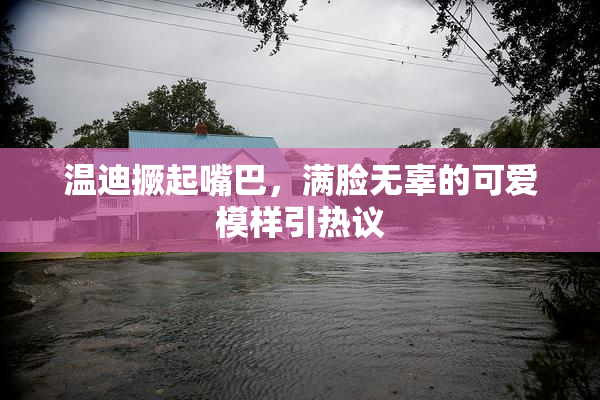 温迪撅起嘴巴，满脸无辜的可爱模样引热议