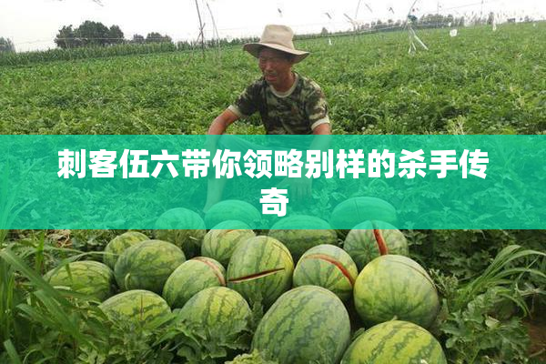 刺客伍六带你领略别样的杀手传奇