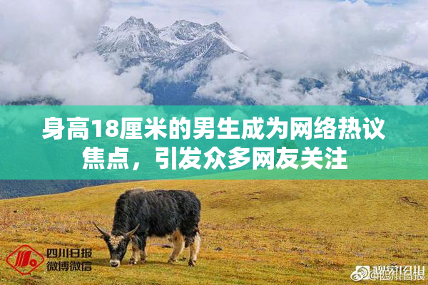 身高18厘米的男生成为网络热议焦点，引发众多网友关注