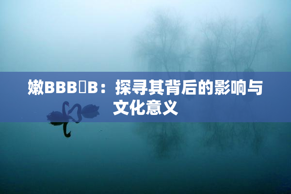 嫩BBB槡B：探寻其背后的影响与文化意义