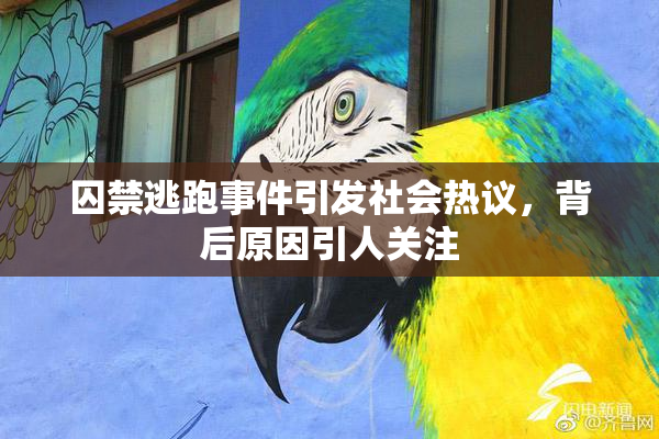 囚禁逃跑事件引发社会热议，背后原因引人关注
