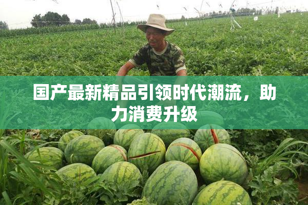 国产最新精品引领时代潮流，助力消费升级