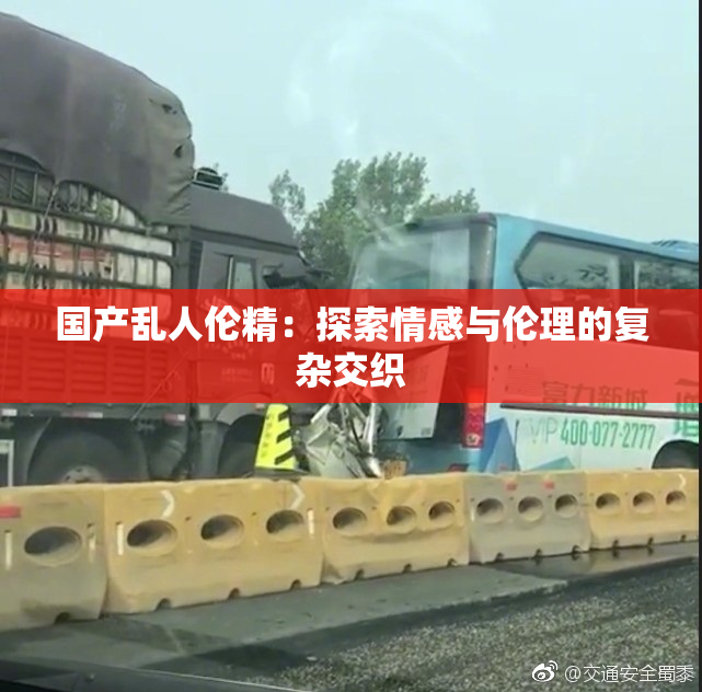 国产乱人伦精：探索情感与伦理的复杂交织