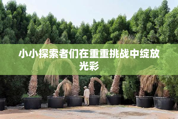 小小探索者们在重重挑战中绽放光彩