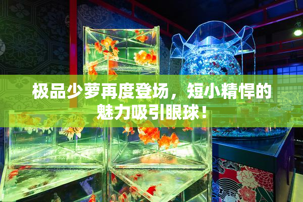 极品少萝再度登场，短小精悍的魅力吸引眼球！