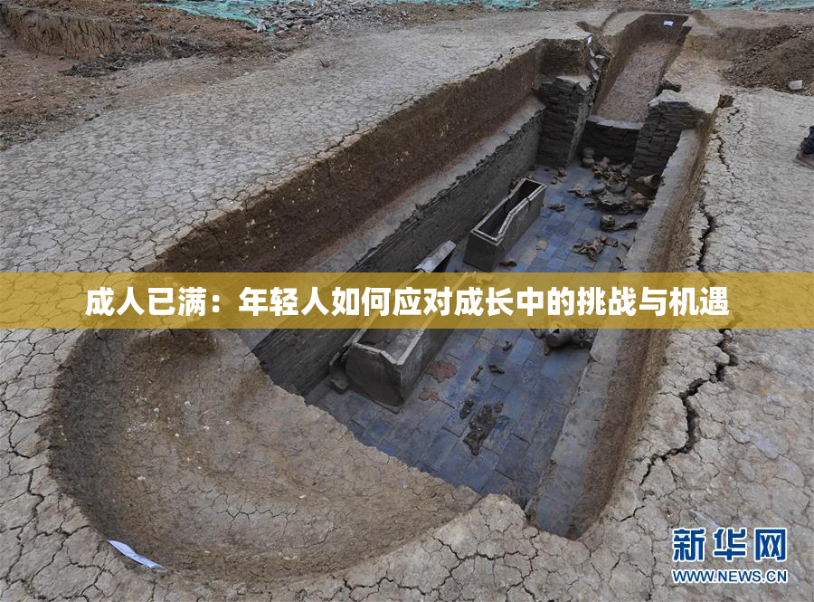 成人已满：年轻人如何应对成长中的挑战与机遇