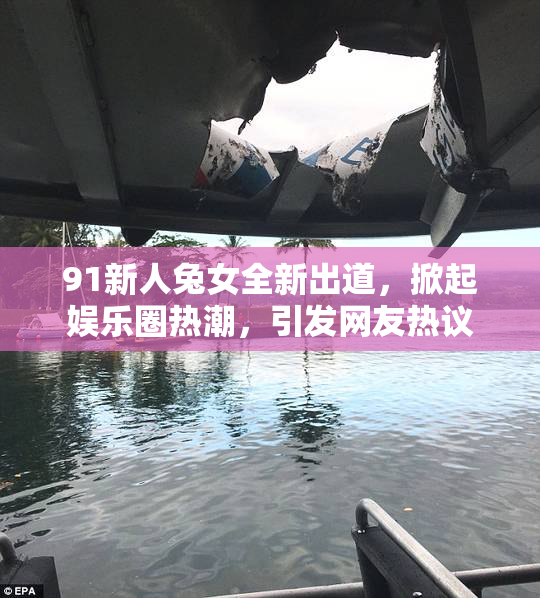 91新人兔女全新出道，掀起娱乐圈热潮，引发网友热议