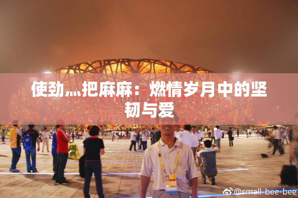 使劲灬把麻麻：燃情岁月中的坚韧与爱