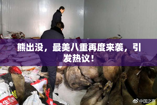 熊出没，最美八重再度来袭，引发热议！