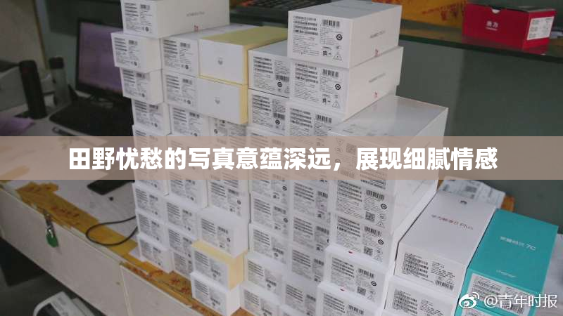 田野忧愁的写真意蕴深远，展现细腻情感