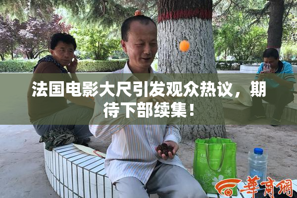 法国电影大尺引发观众热议，期待下部续集！