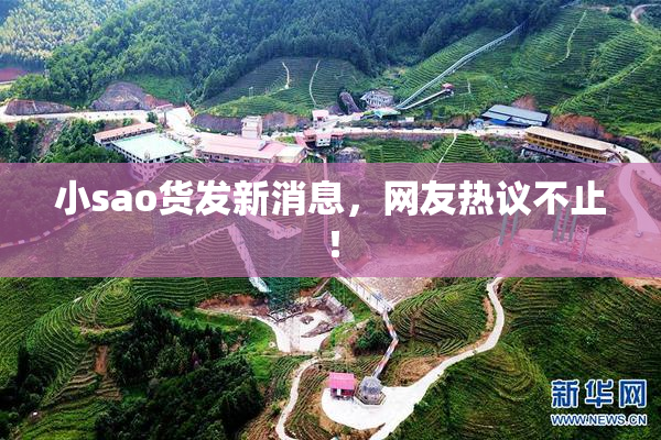 小sao货发新消息，网友热议不止！