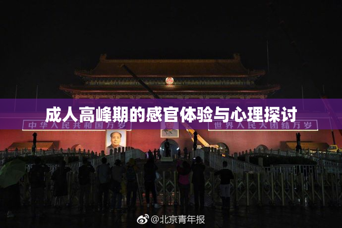 成人高峰期的感官体验与心理探讨