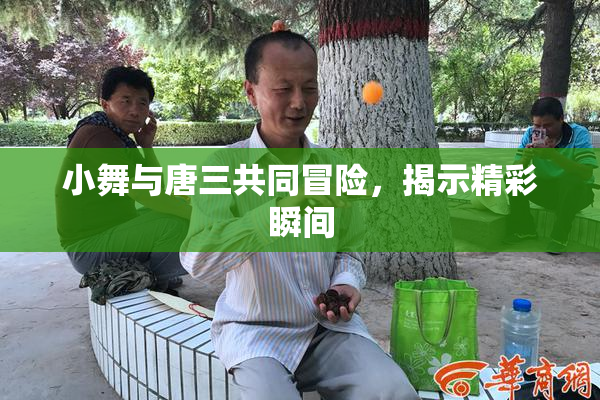 小舞与唐三共同冒险，揭示精彩瞬间