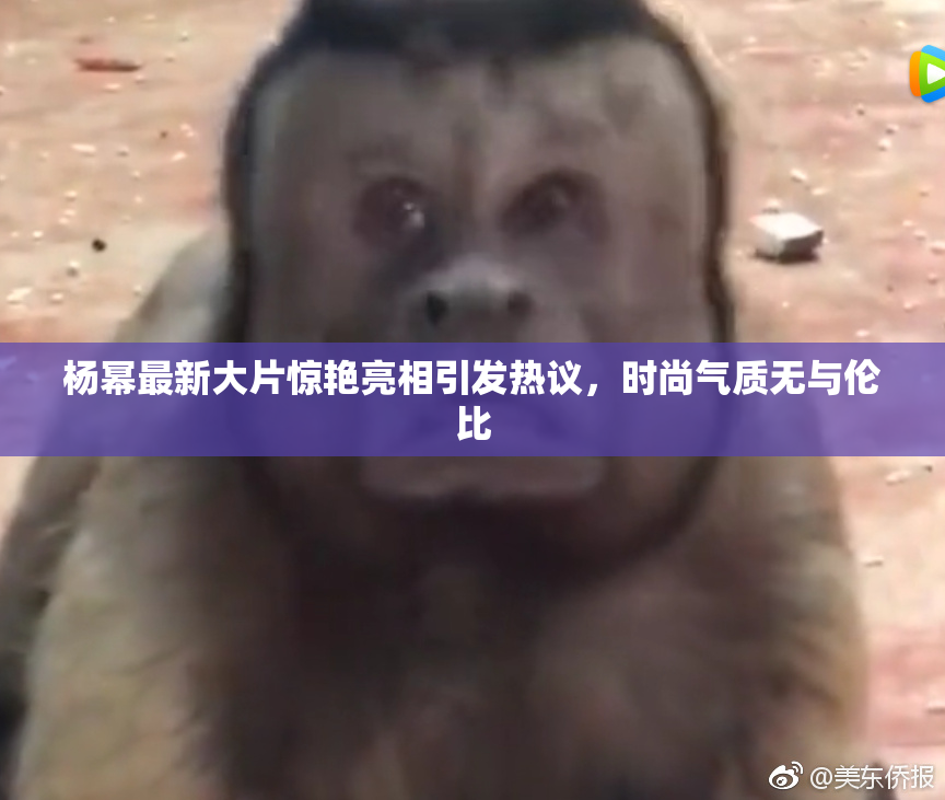 杨幂最新大片惊艳亮相引发热议，时尚气质无与伦比