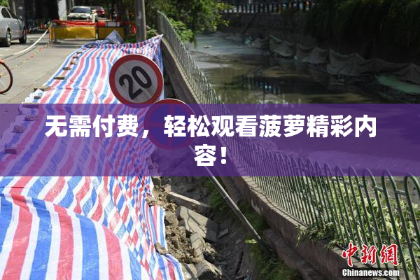 无需付费，轻松观看菠萝精彩内容！