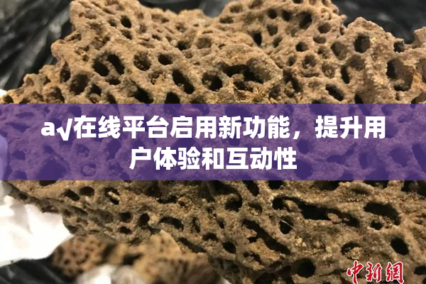 a√在线平台启用新功能，提升用户体验和互动性