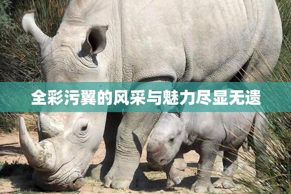 全彩污翼的风采与魅力尽显无遗